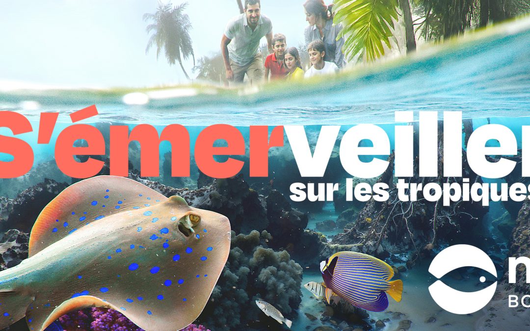 Nouveauté Nausicaa : Échappée Tropicale 